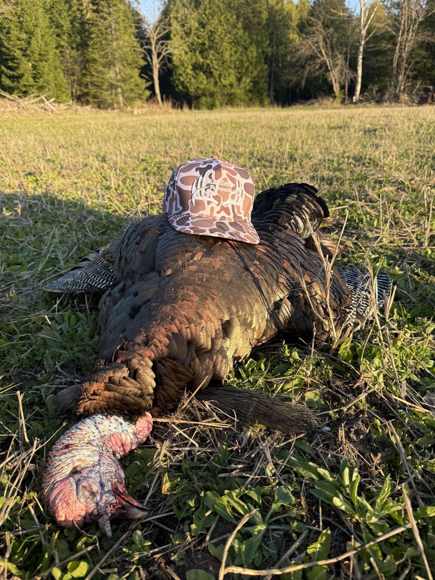 Blue Collar Pursuit Retro Camo Trucker